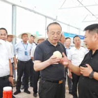 安徽省政協(xié)副主席、安慶市委書(shū)記張祥安于8月7日上午帶領(lǐng)著全市七縣三區(qū)主要領(lǐng)導(dǎo)蒞臨潛山市壽光模式智慧農(nóng)業(yè)產(chǎn)業(yè)示范園項(xiàng)目調(diào)研指導(dǎo)工作并召開(kāi)現(xiàn)場(chǎng)會(huì)議