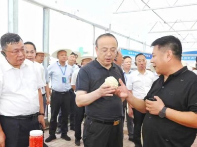 安徽省政協(xié)副主席、安慶市委書記張祥安于8月7日上午帶領(lǐng)著全市七縣三區(qū)主要領(lǐng)導(dǎo)蒞臨潛山市壽光模式智慧農(nóng)業(yè)產(chǎn)業(yè)示范園項(xiàng)目調(diào)研指導(dǎo)工作并召開現(xiàn)場會議