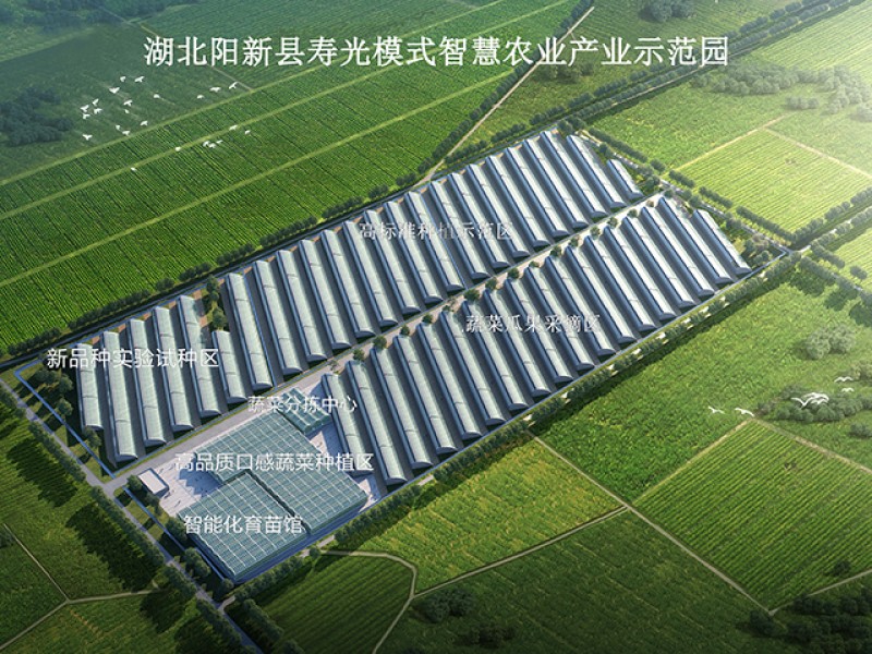 陽新縣壽光模式智慧農(nóng)業(yè)產(chǎn)業(yè)示范園