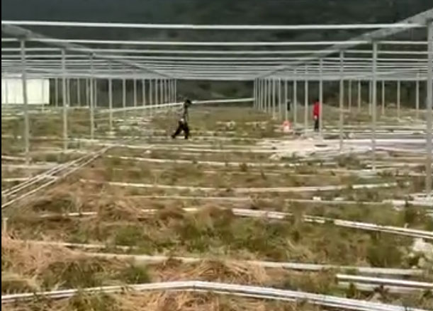 溫室大棚建設現(xiàn)場